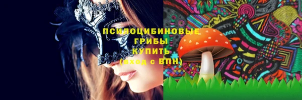 Альфа ПВП Арсеньев
