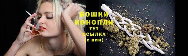 ПСИЛОЦИБИНОВЫЕ ГРИБЫ Аркадак