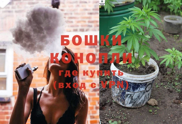 ПСИЛОЦИБИНОВЫЕ ГРИБЫ Аркадак